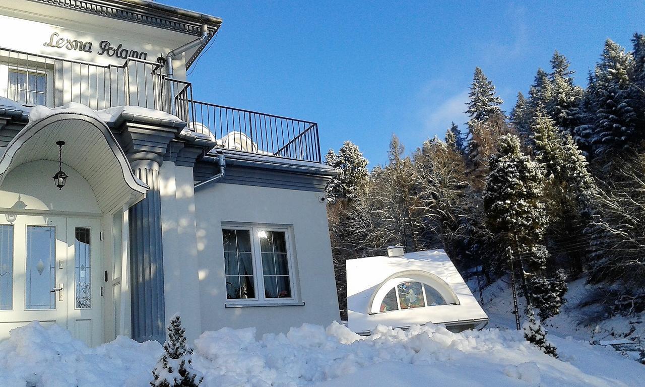 Lesna Polana- Blisko Centrum, Mini Spa, Cicha, Spokojna Okolica, Parking Gratis Krynica-Zdrój Exterior foto